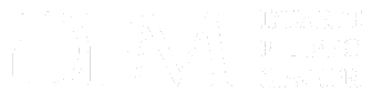 dfm